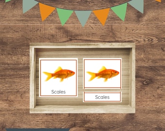 Animal Coverings Montessori 3-Part Cards | Life Science | Kids Animal Classification | (Digital Download)