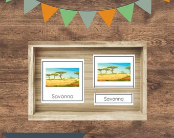 Animal Habitats Montessori Cards: Wildlife Sorting Activity (PDF)