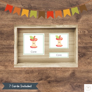 May include: Two cards with a picture of an apple core and the word "Core" printed below the image. The cards are in a wooden frame with a banner of fall-colored flags above the frame. The text "7 Cards Included" is printed below the frame.