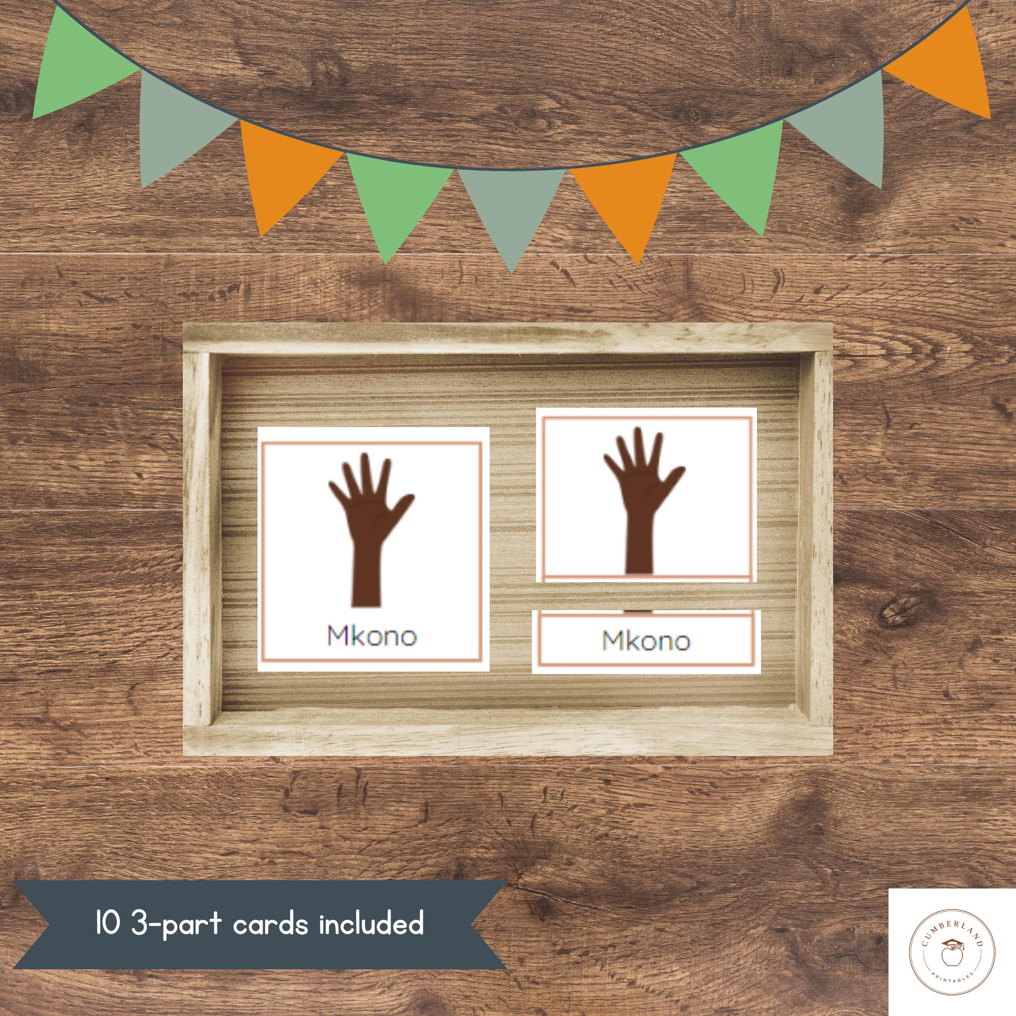 Swahili Body Parts Montessori 3-Part Cards | Learn Kiswahili Vocabulary | Swahili for Kids & Beginners