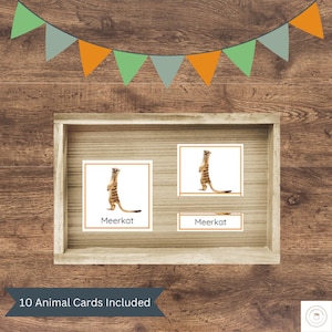 Desert Animals 3-Part Cards - Montessori Nomenclature Cards | Vocabulary & Language Learning | Nature Study for Kids