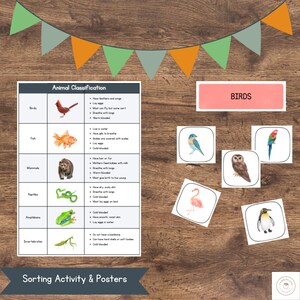 Op de afbeelding: Educatieve posterset met dierclassificatietabel en sorteeractiviteit. Bevat illustraties van vogels, vissen, zoogdieren, reptielen, amfibieën en ongewervelden. De tekst luidt "Sorting Activity & Posters" en "Birds".