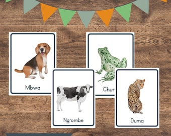 Swahili Animal Vocabulary Flashcards | Learn Kiswahili Animals | Swahili for Kids & Beginners