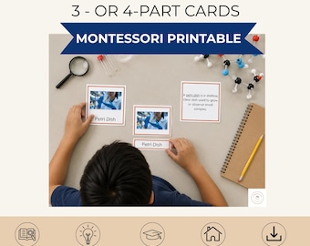 Science Lab Tools Montessori Cards | Experiment Instruments | Classroom & Homeschool Science Vocabulary (PDF)