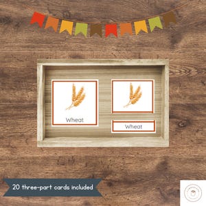 Cartes d'automne Montessori en 3 parties | Nomenclature de vocabulaire d'automne | Apprentissage des langues en saison | Préscolaire et maternelle à imprimer