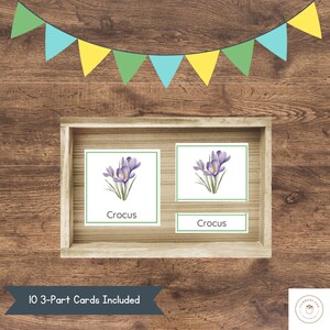 Karty Montessori Spring Flowers 3-częściowe | Nomenklatura kwiatów | Botanika | Ogrodnictwo i nauka przyrody dla dzieci