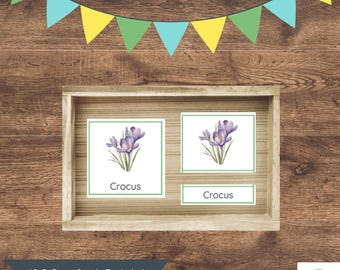 Spring Flowers Montessori 3-Part Cards | Gardening & Nature Learning for Kids (Digital Download)