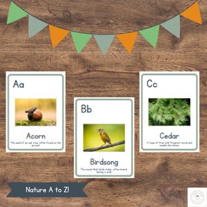 Tarjetas didácticas del alfabeto de la naturaleza de la A a la Z / Tarjetas ABC con fotos para paseos por la naturaleza / Fonética y reconocimiento de letras / Estudio de la naturaleza en casa