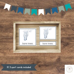 May include: Wooden-framed educational cards featuring watercolor illustrations of bare trees. The cards are labeled "bare trees" and are displayed on a wooden surface. A banner of colorful pennants hangs above the frame. The text "10 3-part cards included" is also visible.