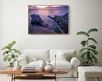 Imagen digital de naturaleza con arte mural de alcatraces anidando en un acantilado en Nueva Zelanda, un vibrante paisaje de vida silvestre, ideal para la sala de estar o como regalo de la naturaleza.