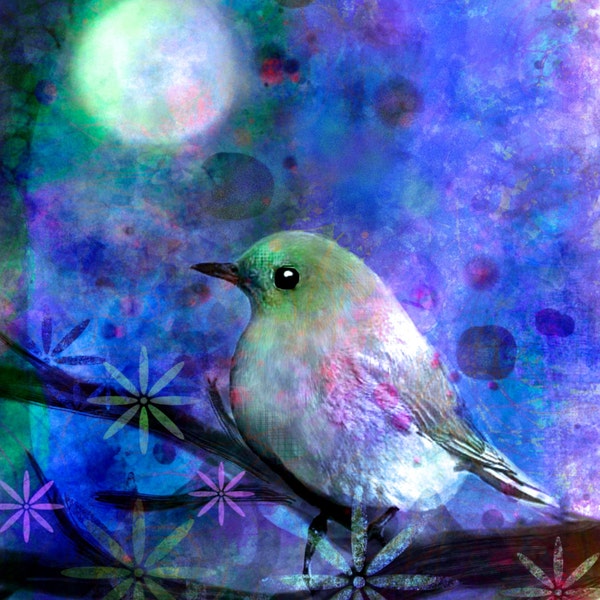 Midnight Oasas bird moon moondust