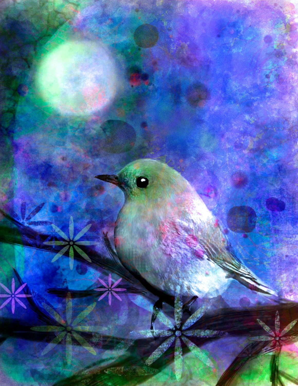 Midnight bird. Волшебная птица. Красивые птицы волшебные. Красивая птица арт. Маленькие волшебные птицы.