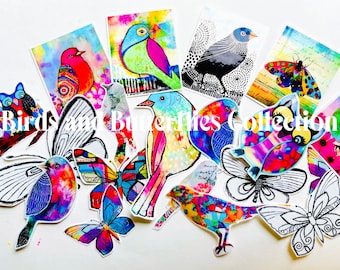 Pássaros e borboletas