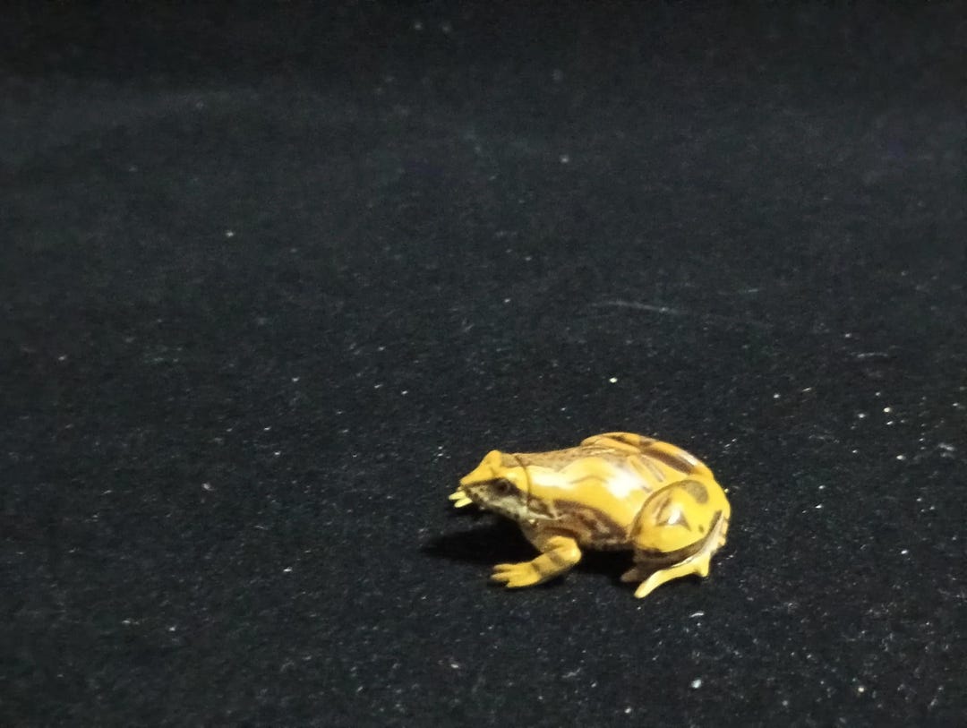 Kaiyodo Chocoq Animatales Series 6 Tree Frog - Etsy