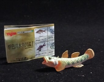 Freshwater Fish Encyclopedia 2: Toyoshinobori, River Fish, Yujin SP