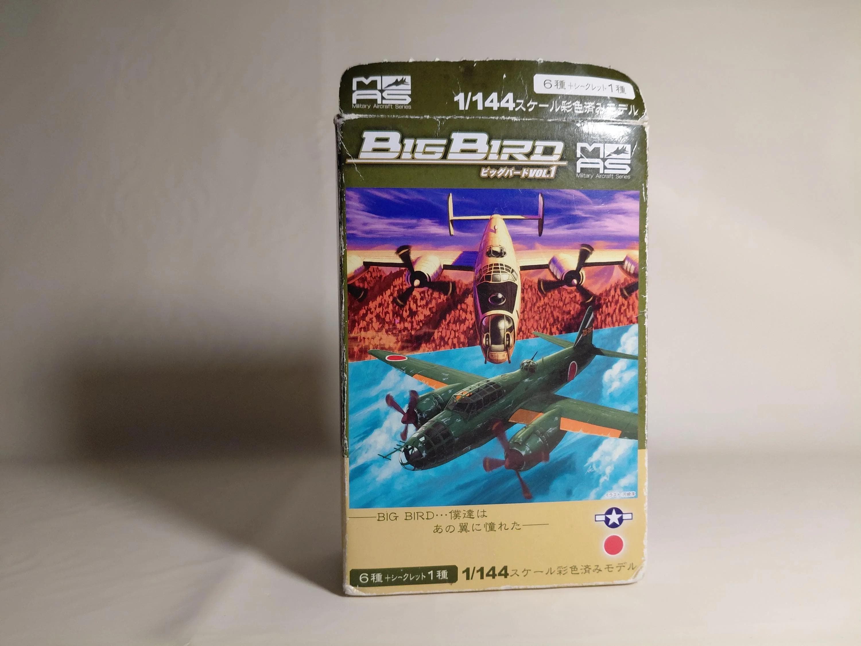 Cafereo 1/144 BIGBIRD 1 #2 B-24J Liberator USAF 