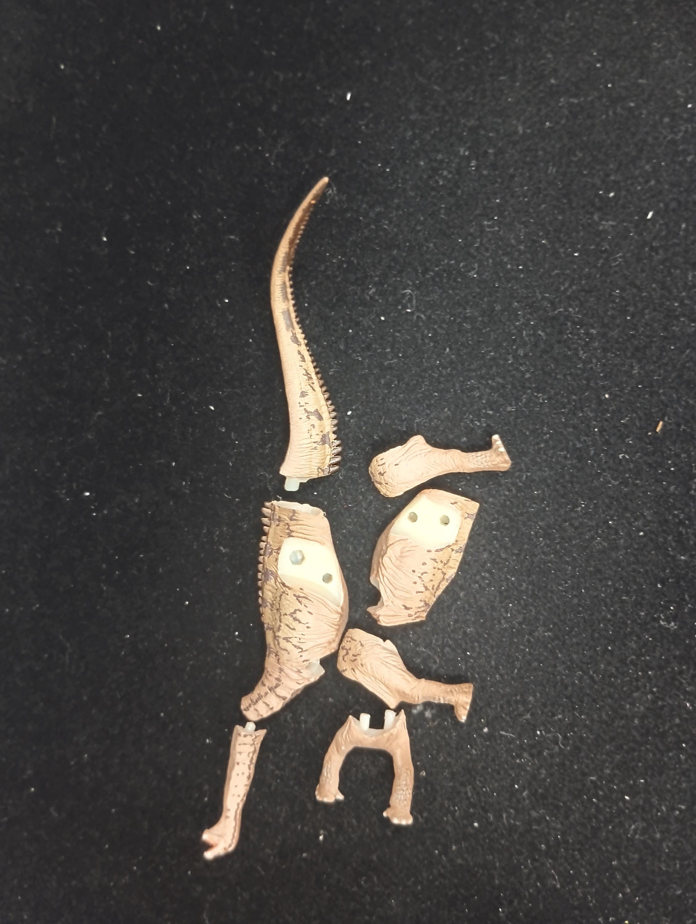 ワンダーフェスティバル2002夏限定版 セイスモサウルス 海洋堂