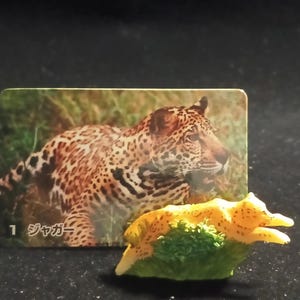 Op de afbeelding: Een kaart met een foto van een jaguar in een grasveld, met het nummer 1 en Japanse tekst. Voor de kaart staat een klein, geel jaguarbeeldje met zwarte vlekken, springend over een groene struik.