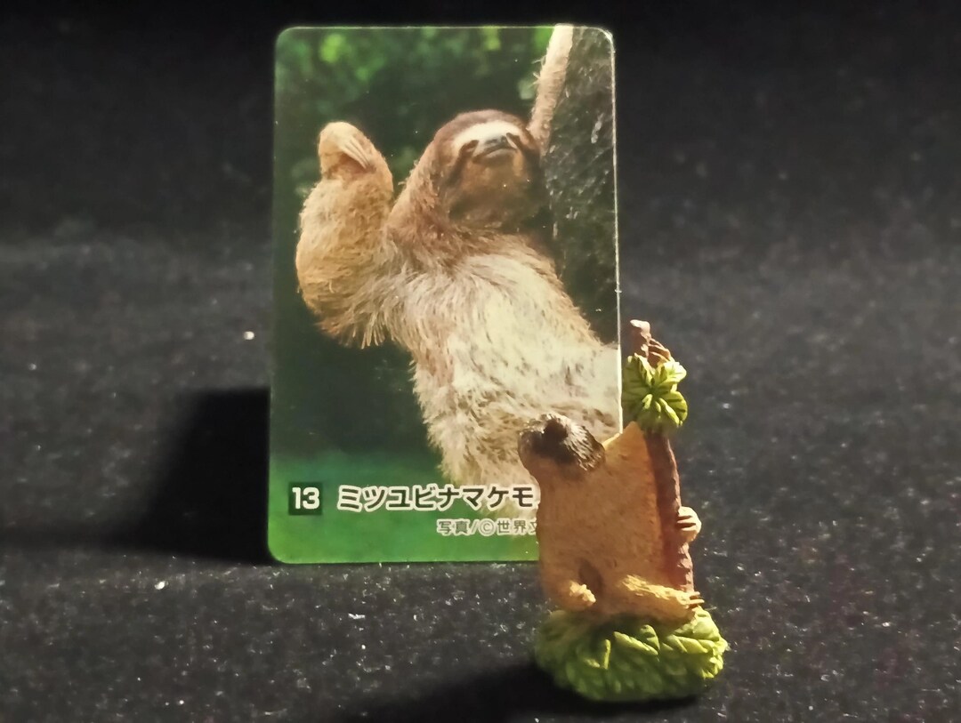 Sloth Japan The Mysterious of Amazon Japan Exclusive Miniature - Three-toed Sloth ...