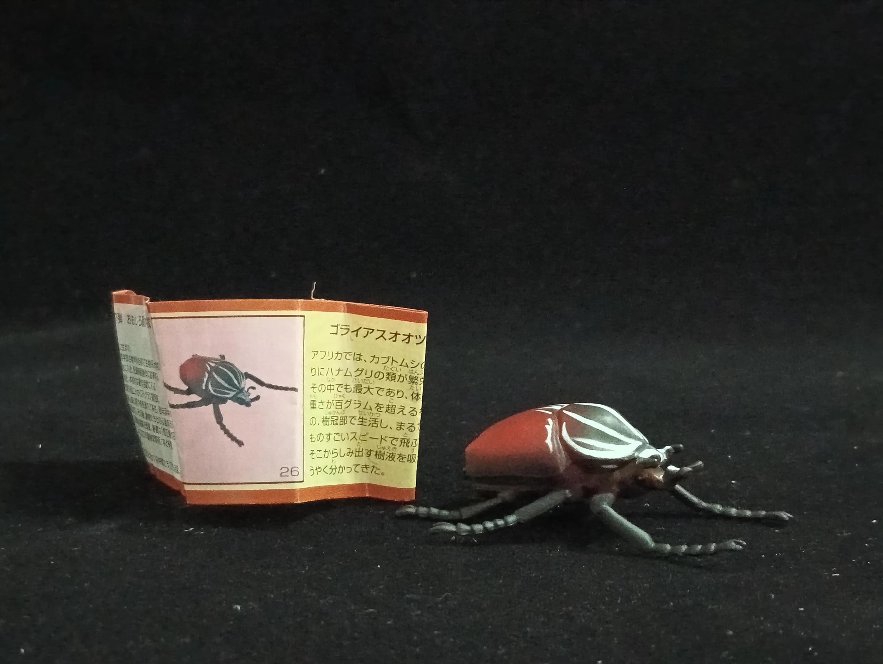 Goliath beetle - Etsy 日本
