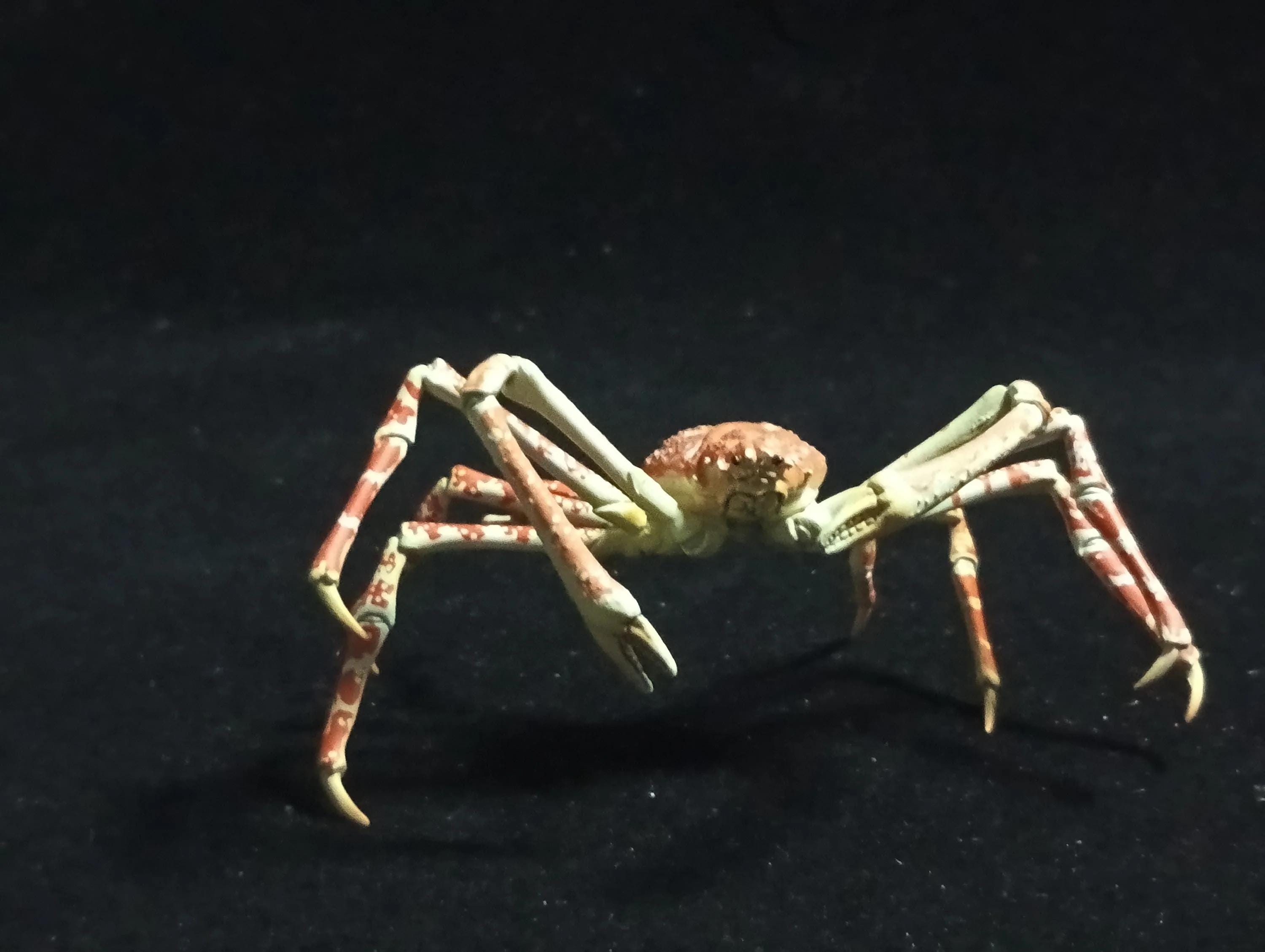 Yujin Takara Kaiyodo Retired Japan Exclusive Spider Crab