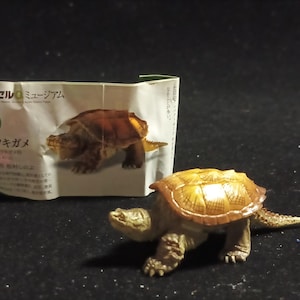 May include: A detailed miniature turtle figurine with a textured, brown shell and a light green body. The figurine is next to a small, folded cardboard box with Japanese text and an illustration of the turtle.