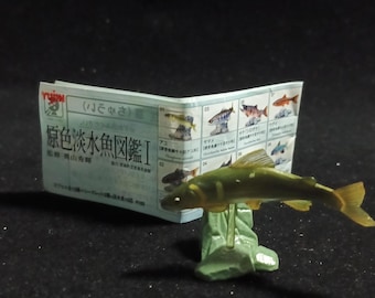 Freshwater Fish Encyclopedia 1: Plecoglossus altivelis , Yujin