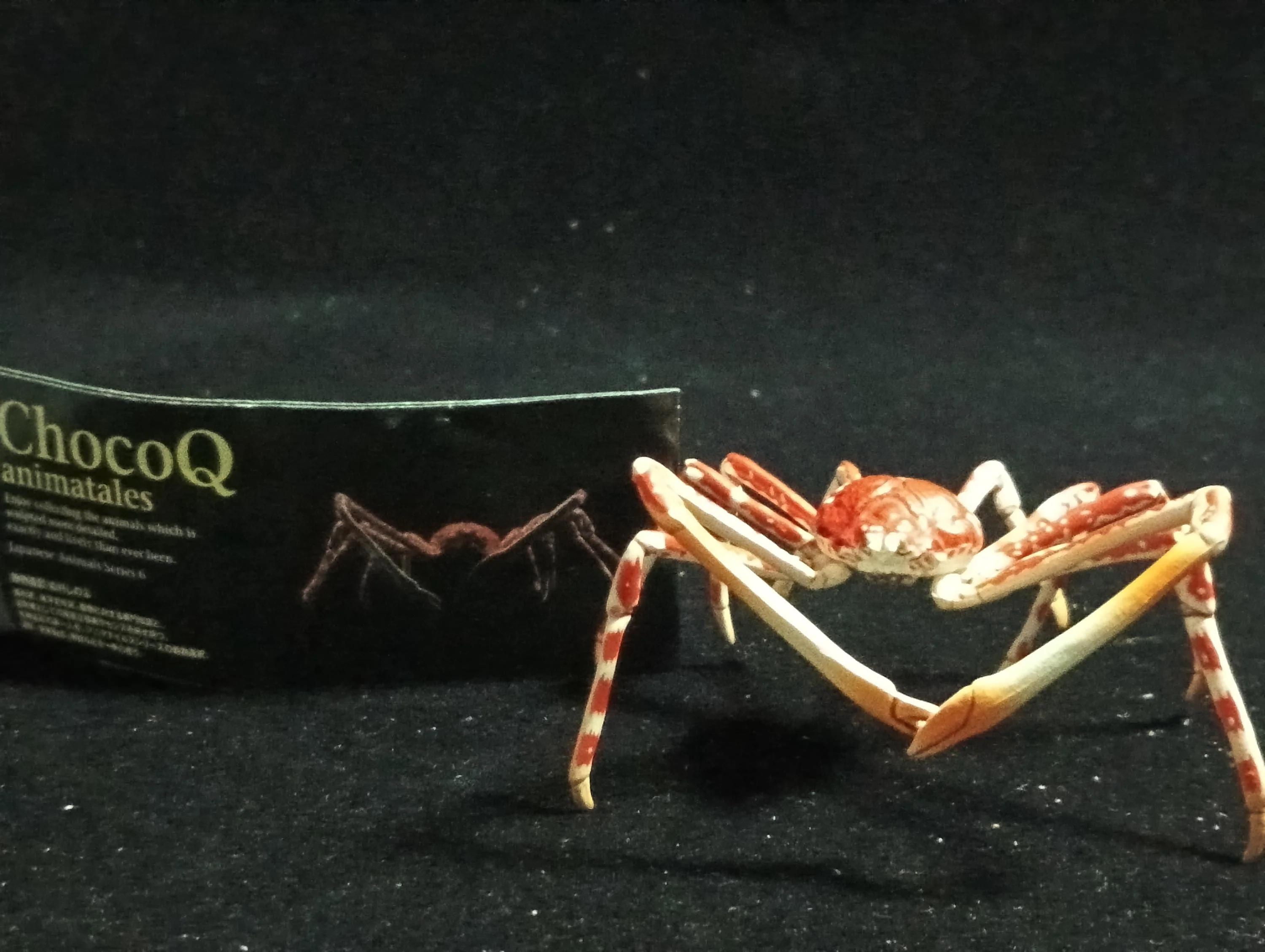海洋堂チョコQアニマテールズシリーズ6 タカアシガニ - Etsy 日本