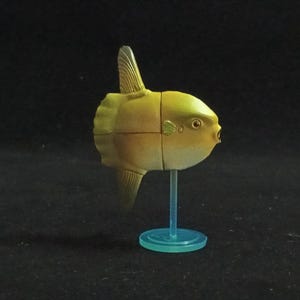 Pode incluir: Estatueta de peixe amarelo e castanho com um corpo pequeno e redondo e barbatanas. O peixe é montado em um suporte azul transparente com uma base circular. O fundo é preto sólido.