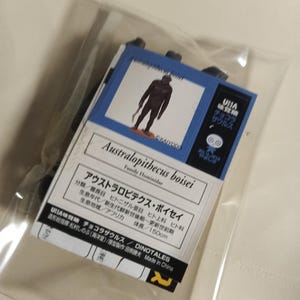 May include: A clear plastic bag containing a card with a blue border and a drawing of a hominid figure. The card has Japanese text and the words "Australopithecus boisei" and "Family Hominidae". The card also lists the hominid's height as 150cm.