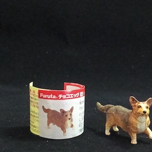 Miniature Welsh Corgi Dog (Brown) Figurine - Furuta