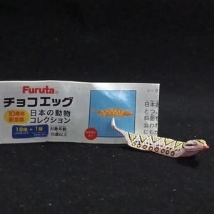 以下が含まれることがあります： 白、ベージュ、茶色の模様のミニチュア爬虫類フィギュア。白い箱には日本語のテキストとFurutaのロゴが入っています。箱には魚の絵と「チョコエッグ」の文字が描かれています。