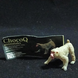 May include: A small, off-white monkey figurine with a pink face and open mouth, posed in a crawling position. A black tag with the text "ChocoQ animatales" is in the background. The figurine is on a dark surface.
