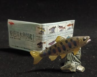 Freshwater Fish Encyclopedia 1: Japanese Masou Salmon Fish , Yujin