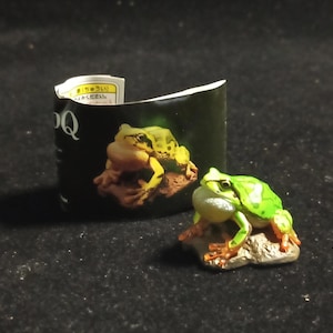 May include: A small, detailed frog figurine with a green and white body, perched on a brown rock. A matching image is on the black cylindrical packaging behind it. The frog has orange feet and a white throat.