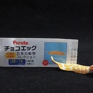 以下が含まれることがあります： 赤い鼻を持つ、小さくてタンと白のおもちゃのヘビが、日本語のテキストとヘビの写真が描かれた白い箱の隣に配置されています。箱には「Furuta チョコエッグ」と書かれています。