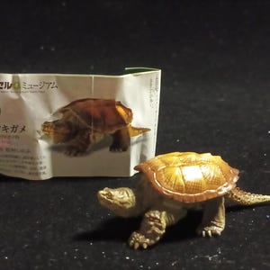 Pode incluir: Estatueta de tartaruga em miniatura detalhada com uma carapaça castanha texturizada e um corpo bege. A estatueta está ao lado de uma pequena caixa de cartão dobrada com texto japonês e uma ilustração da tartaruga.