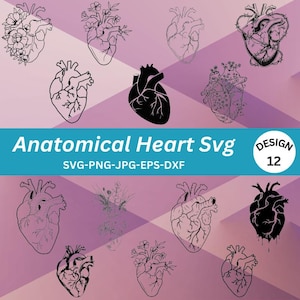 Anatomical Heart SVG Bundle: Floral Human Heart Anatomy (Digital Files)