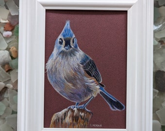 5x7 Original Colored Pencil Drawing of Bird, Tufted Titmouse Bird Art