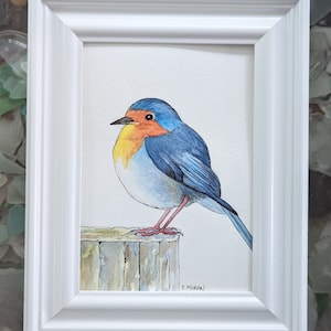 Watercolor Bird Painting, 5x7 Robin Red Breast Bird, Original Watercolor Painting