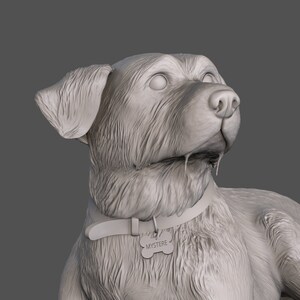 Mystère - Chien allongé sur un tapis - Modèle 3D