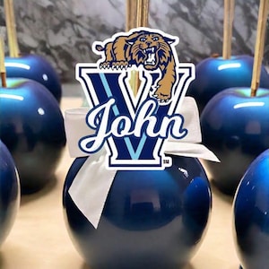 1/2 Dozen or 1 Dozen Custom Graduation Candy Apples with Name and School Logo for High School, College Graduation Party, Candy Apples
