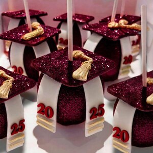 1/2 Dozen or 1 Dozen Custom Graduation Candy Apples: School Logo, High School, College Graduation Party, Candy Apples