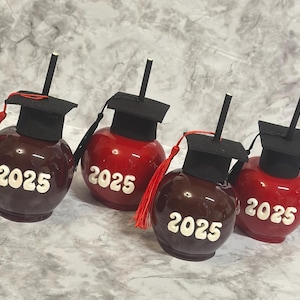 1/2 Dozen, 1 Dozen, or 2 Dozen Candy Apples Graduation with Custom Cap and Mini Tassel Graduation Parties, Custom School Colors, Highschool