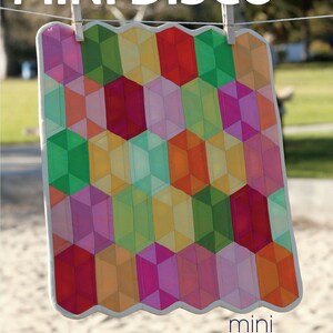 May include: A colorful quilt with a geometric pattern hangs on a clothesline. The quilt is made of various shades of pink, red, green, yellow, and orange. The quilt is labeled "mini DISCO" and "mini JAYBIRD QUILTS".
