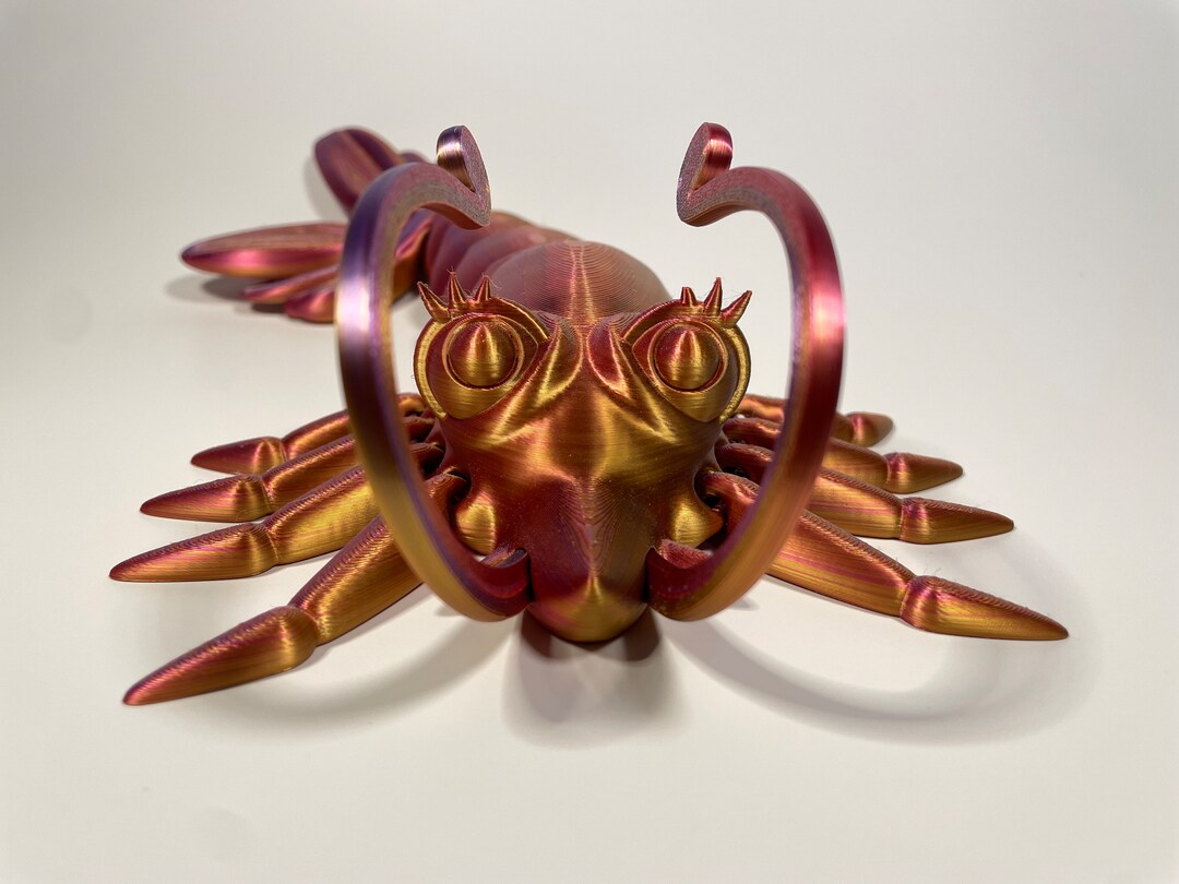 3d Printed Articulated Flexi Shrimp Figure, Desk Toy, Fidget Toy ...