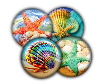 Beach Seashell Drink Coasters, Coasters, Tableware, Barware, Beach Decor, Christmas Gift