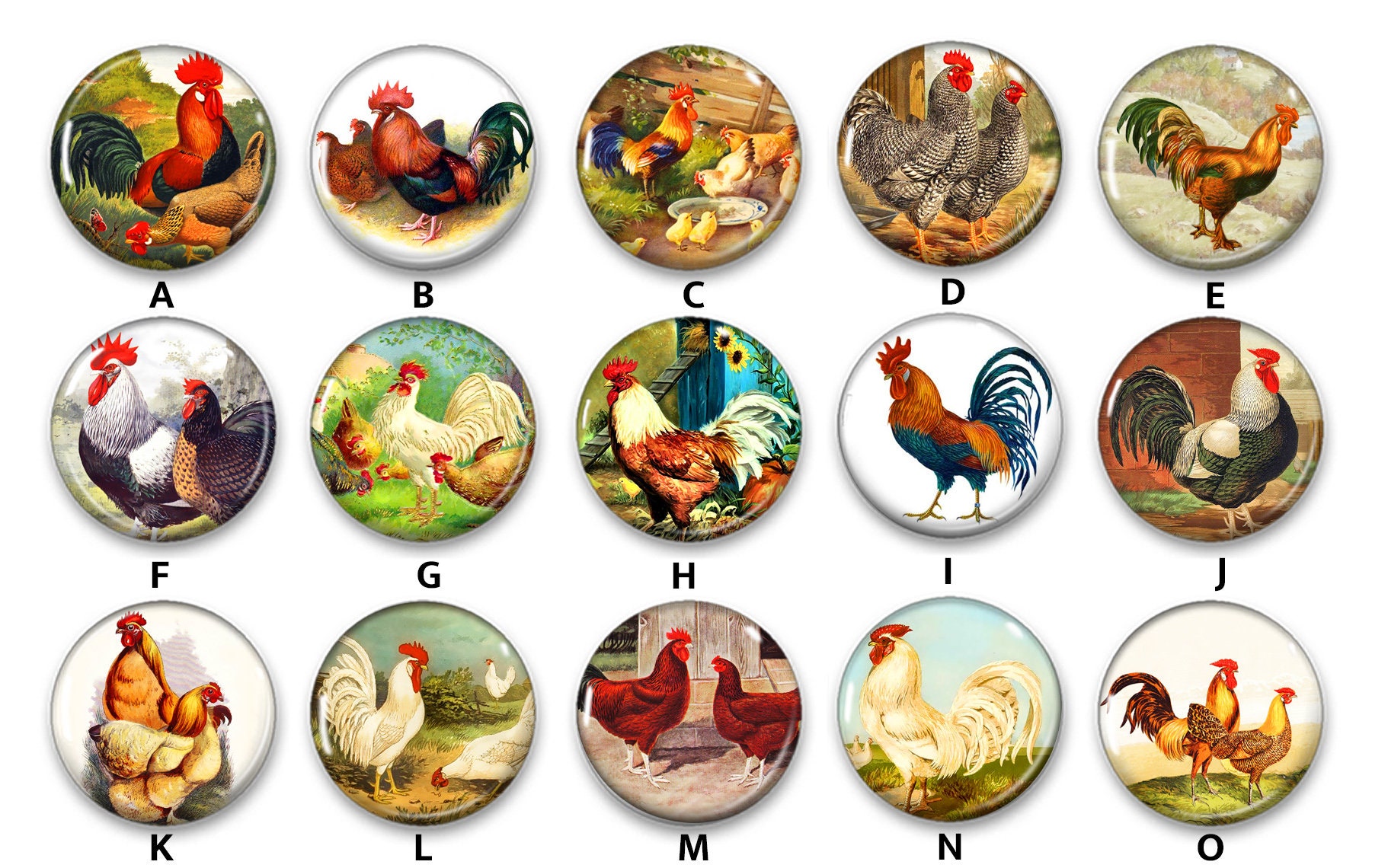 Poultry Buttons Colorful Chicken & Rooster Pin Back Buttons, Backpack Pins, Jacket ...