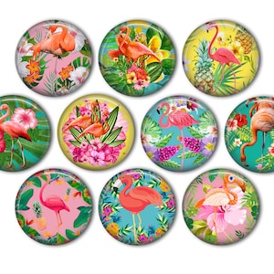 May include: A set of ten round, colorful, glass cabochons with images of pink flamingos and tropical flowers. The cabochons are perfect for crafting projects like jewelry, hair accessories, and scrapbooking.