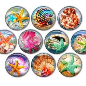 May include: Ten round glass cabochons with colorful seashells and starfish designs. The cabochons are perfect for crafting jewelry, magnets, or other decorative projects.